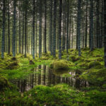 Understanding the Quality of Climate Finance