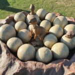 Scientists Built a Life-Size Dinosaur Nest and the Results Were Surprising