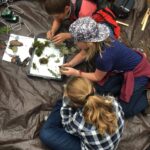 New Resources Support Regional Outdoor Science Education