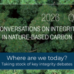 Financing Integrity: The Missing Middle in Nature-Based Carbon