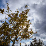 Greece Weather Tuesday: Cool with Clouds and Light Rain