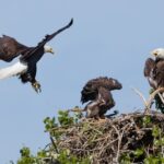 Boulder County’s public lands belong to the public; policy decisions should reflect lived realities (Letters)