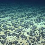 ‘Dark oxygen’ discovery on the seafloor is ‘fundamentally at odds with thermodynamics’ and should be retracted, experts say