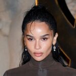 Zoë Kravitz Wows in an Optical Illusion Top With Sheer Panels in Paris