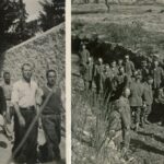 Greece Purchases Photos Taken by Nazi Soldier Who Documented Athens Atrocity