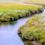 Scientists challenge timeline of human arrival in the Americas