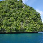 Finance cannot be an afterthought for the high seas treaty