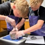 JACES students explore science through pig heart dissection