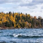 A second climate literacy seal bill in Minnesota