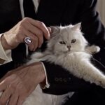 Stanley Schtinter on Remapping History via Cinema