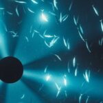 Laurel Halo: Midnight Zone (Original Soundtrack) Album Review