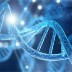Scientists Uncover Hidden “Second Layer” in Human DNA