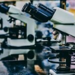 Science or Subservience? Trust, R&D and Economic Resilience