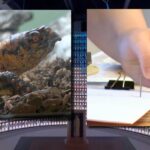 Science Museum of Virginia offers hands-on animal encounters and maker workshops