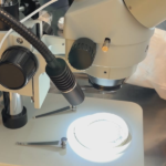 Charleston Waterkeeper launches Community Science Lab