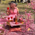 Pink Wonderland: The Peach Blossoms of Imathia, Greece