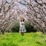 Discovering the Magic of Greece’s Peach Blossom Festival in Imathia