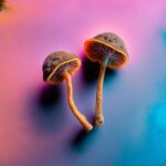 Scientists Discover New “Magic Mushroom” Species That Rewrites Evolutionary History
