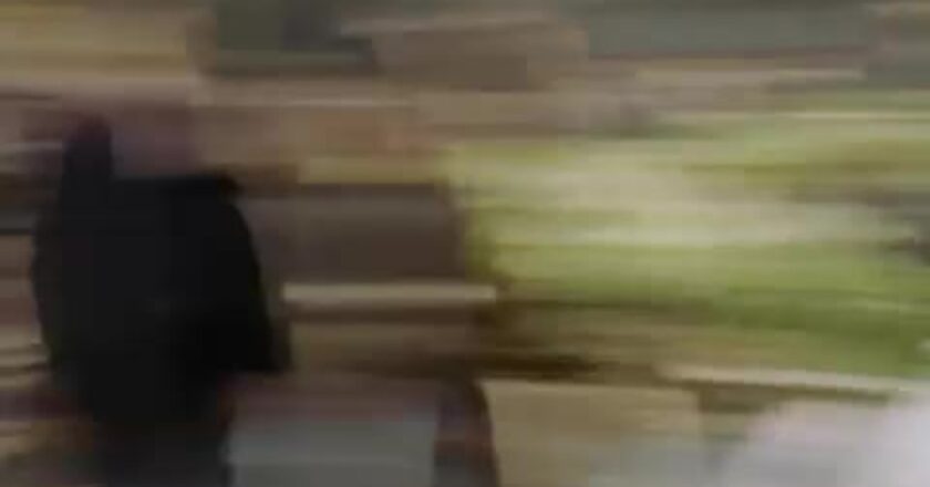 Greek – Trailer (English)