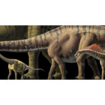 ‘The World’s Largest Dinosaurs’ Opens at the Denver Museum of Nature & Science on March 20