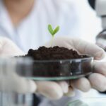 Scientists Discover Plants Can “Count” – and May Be Smarter Than We Thought