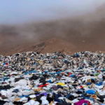 Fast fashion is ruining our planet – The Central Trend