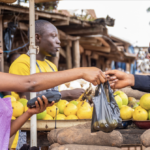 Enabling Climate Adaptation Investment Markets for Agri-food systems, Housing and Manufacturing in Tanzania 