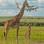 32 incredible wildlife images from the Nature Photography Contest