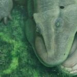 Bizarro salamander ancestor was an evolutionary oddball