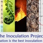 Kindergarten Books, Art Meets Science