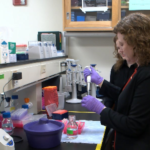 WVU professor researches the science behind resilience