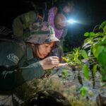 When scientists descended into an unexplored cave in the Cambodian mountains, they found a “treasure trove” in the darkness