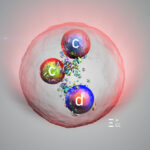 CERN Scientists Finally Catch the Elusive Heavy Cousin of the Proton