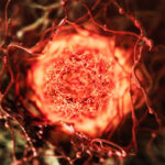 Cosmic Fireball, Glowing Forests, And Much More!