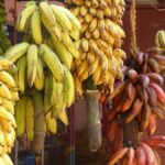 Science Snapshots: March 15, 2026