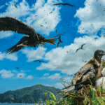 11 wild photos show the Amazon River in its glory