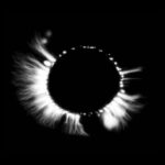 Art & Finance report – highlights in the art and finance market