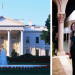 Trump appointee proposes ripping out the White House’s 200-year-old columns for the flashier style found at Mar-a-Lago