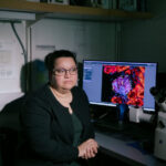 Survey: NIH cuts push labs to brink, hit early-career scientists hard