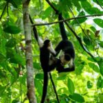 how financial institutions can reap the benefits – United Nations Environment – Finance Initiative