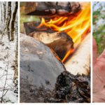 Neanderthals used antibiotics, new experiment suggests