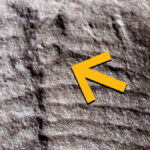 The Breaking Bad Effect, The Oldest Butthole, And More! : ScienceAlert