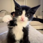 @margarita_iraheta     …