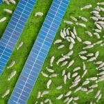 Origis Energy to develop Texas solar projects with financing of $545m