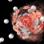 Scientists discover molecule that stops aggressive breast cancer in its tracks