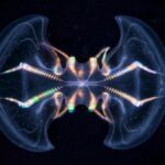 The Comb Jelly ‘Brain’ Is Far More Complex Than We Ever Realized : ScienceAlert