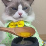 @thatlittlepuff Mama is gana love you more for knowing these hacks    …