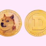 Elon Musk’s X Money Beta Starts Buzz On Metal Debit Card, Meanwhile Dogecoin Spikes And Asks Who Pays A 2-3% Fee When You Can Just Accept DOGE