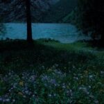 @ben_b219         …