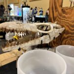 Crystal Festival brings sparkle, science, and family fun to Mt. Pleasant | News, Sports, Jobs